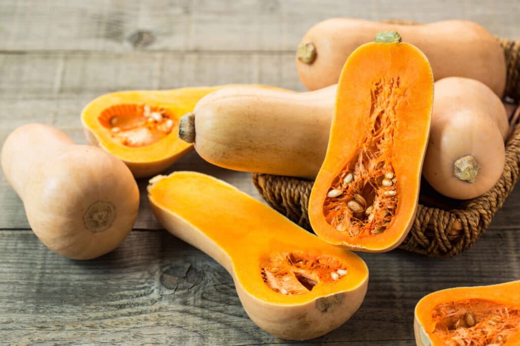 Blog 5 Zucca Violina