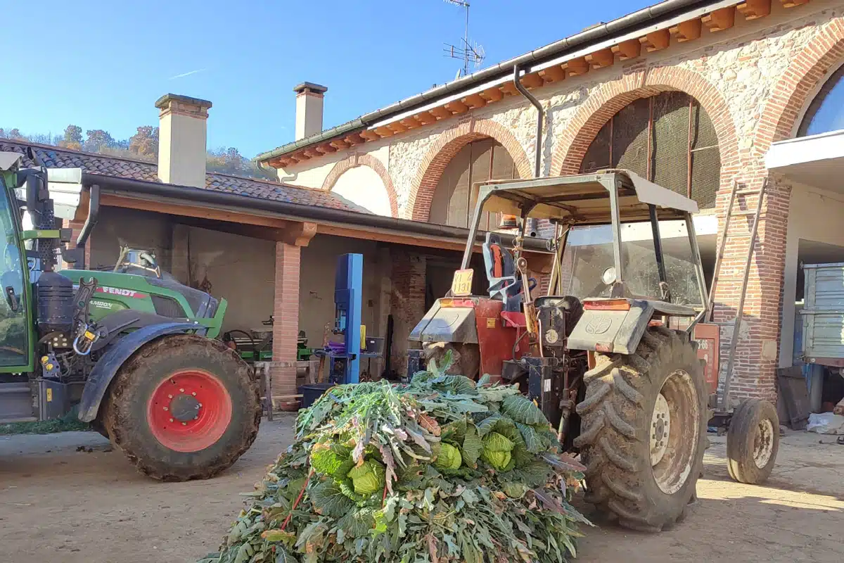 L'Orto a Gennaio - Frutta e Verdura: la guida pratica per una coltivazione invernale di successo