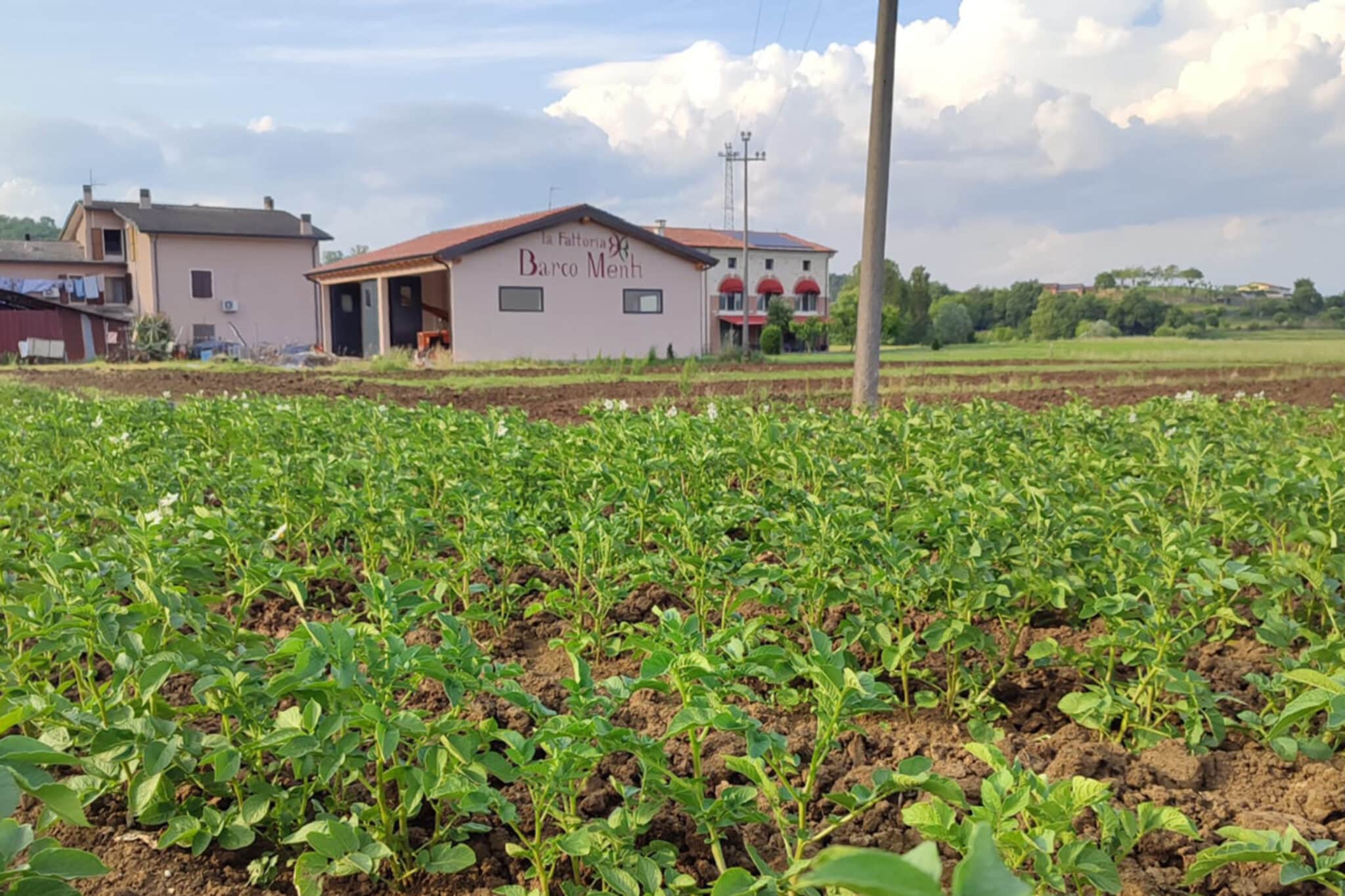 La preparazione dell’Orto all’Agriturismo Barco Menti