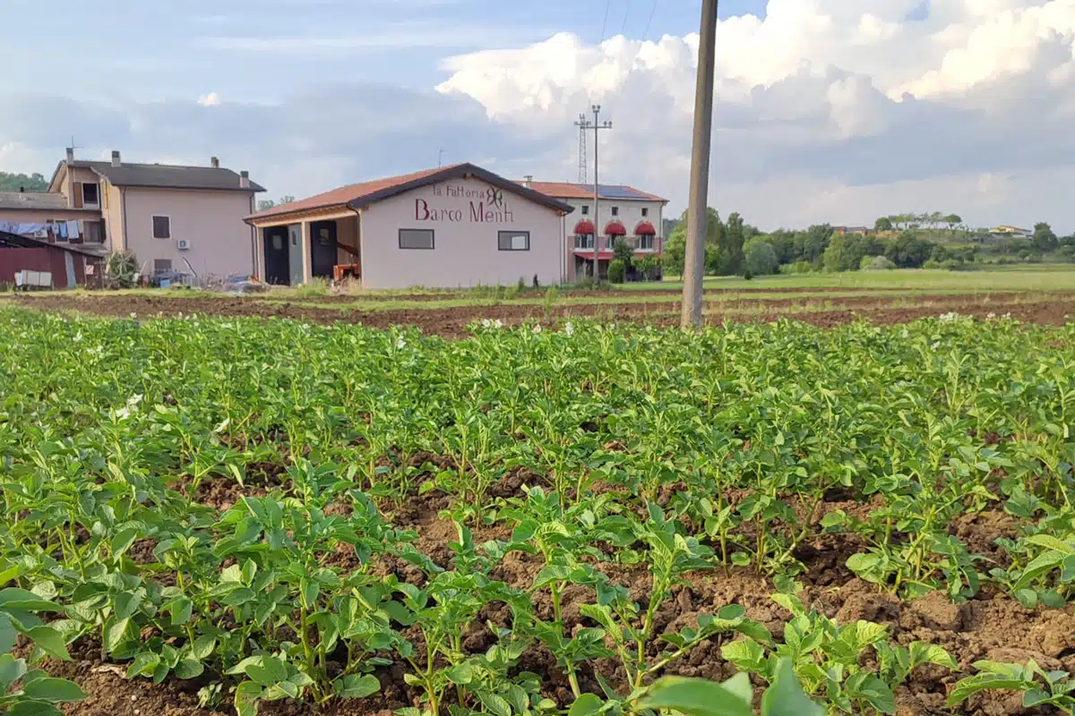 La Preparazione Dell’orto All’agriturismo Barco Menti