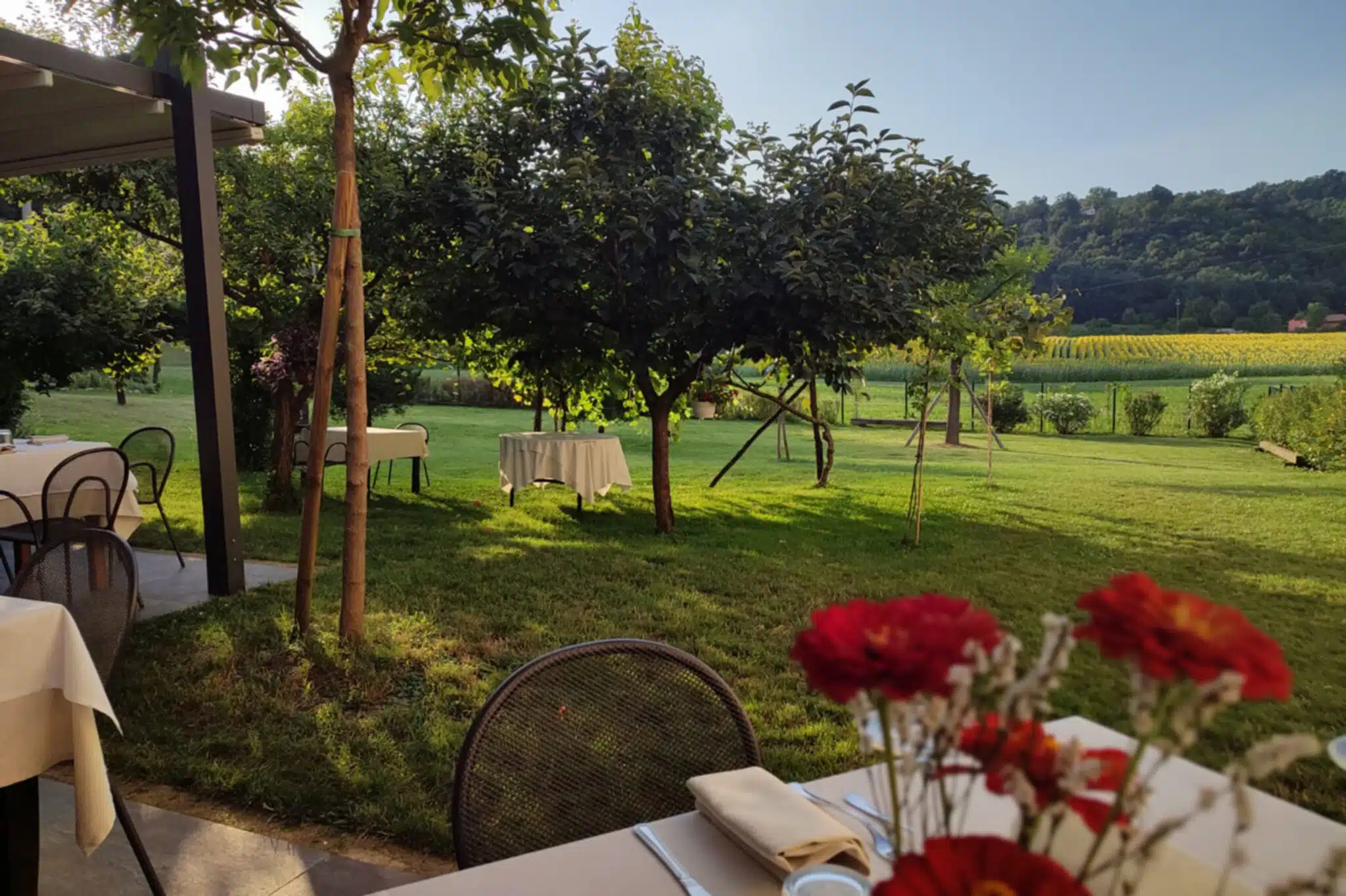 Il Menù Estivo Dell'Agriturismo Barco Menti: Sapori Autentici