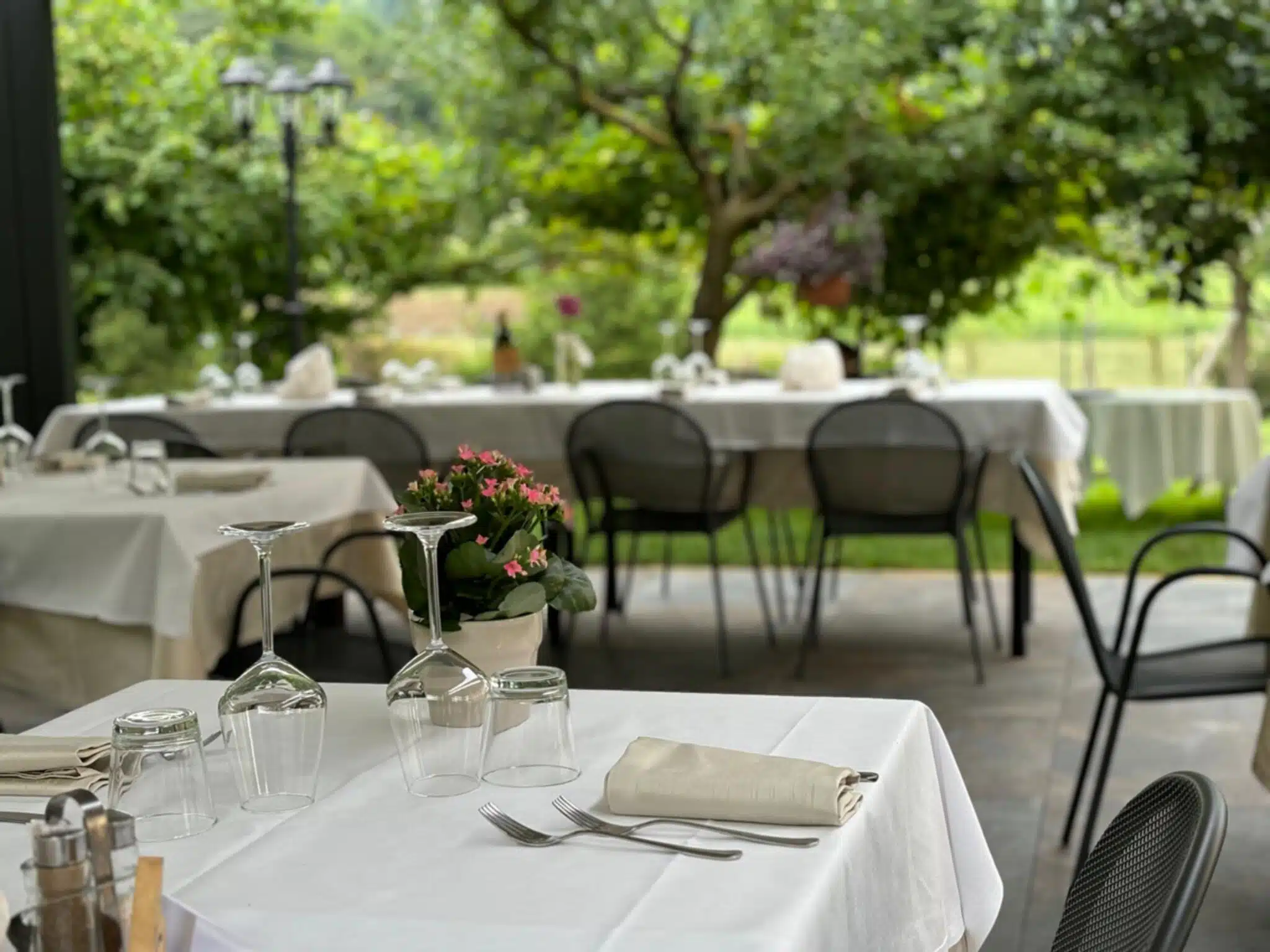 Il Menù Estivo Dell'Agriturismo Barco Menti: Sapori Autentici