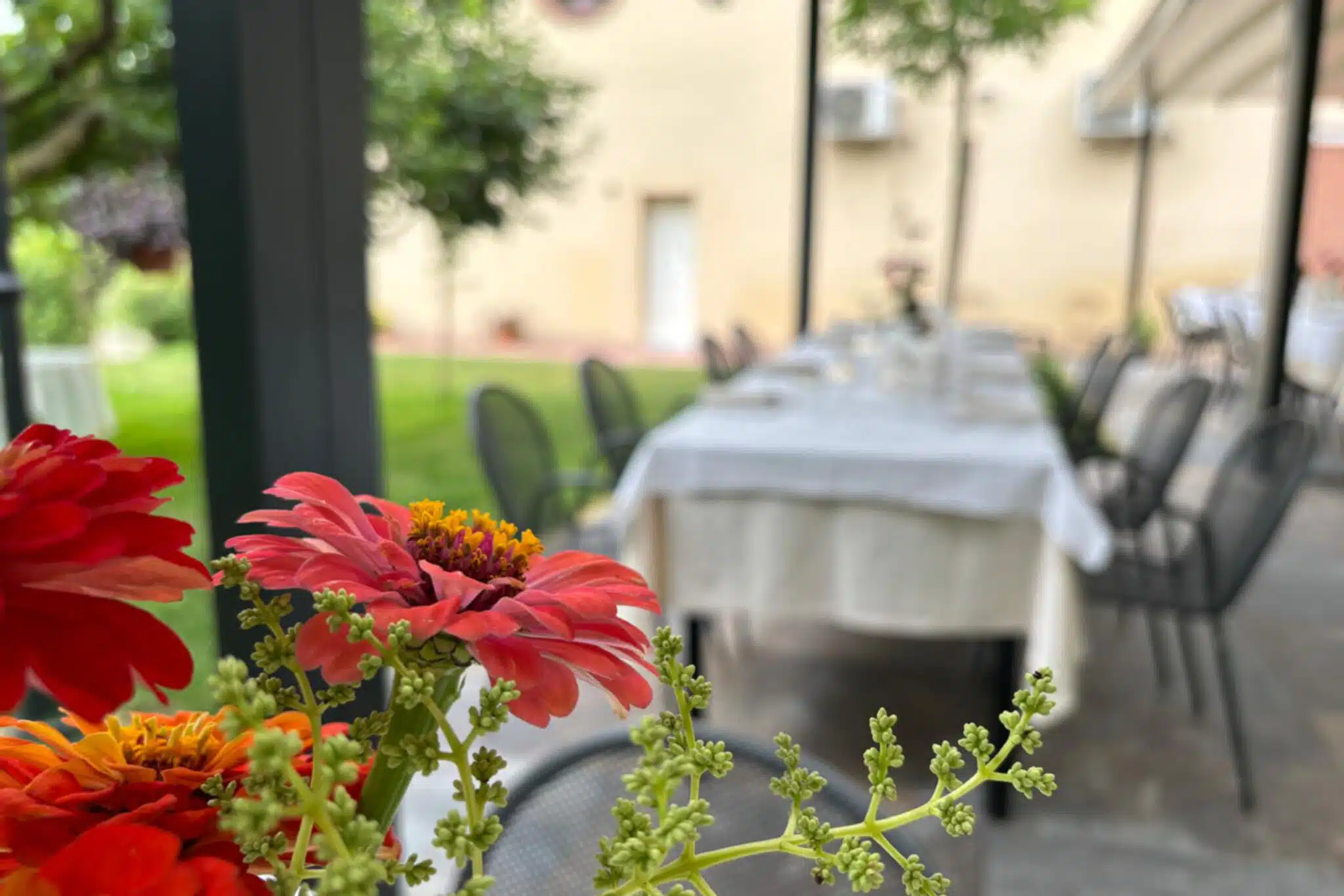 Il Menù Estivo Dell'Agriturismo Barco Menti: Sapori Autentici