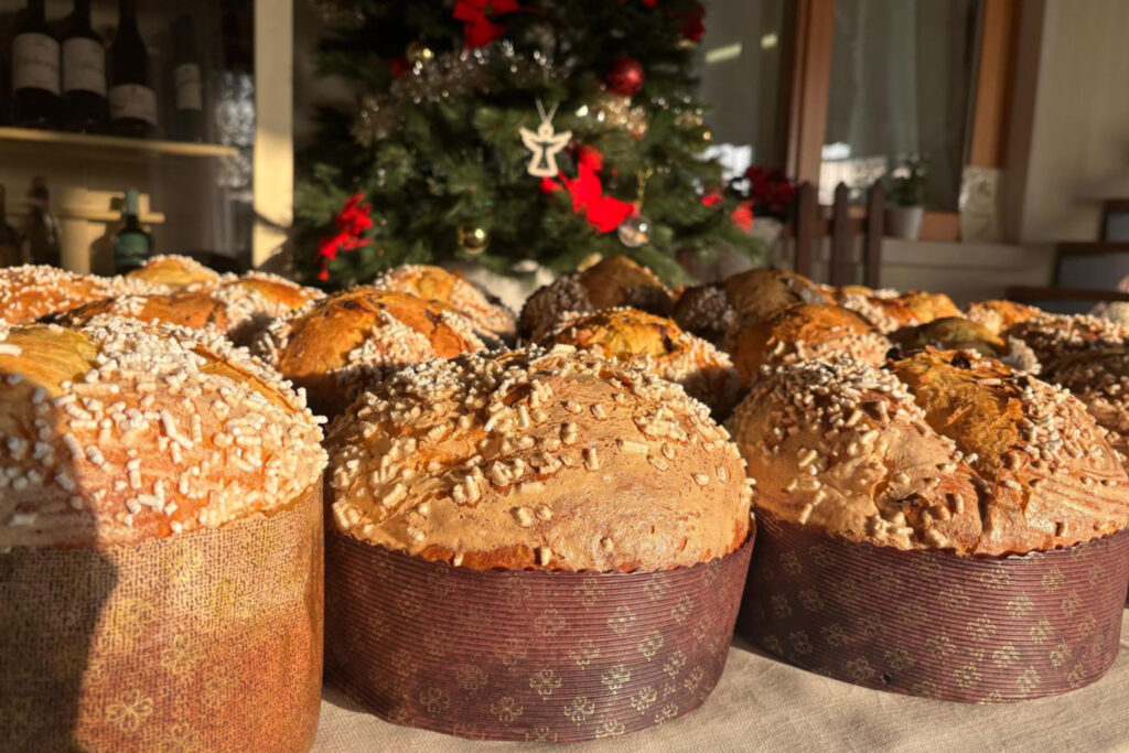 Il Panettone Artigianale Di Barco Menti