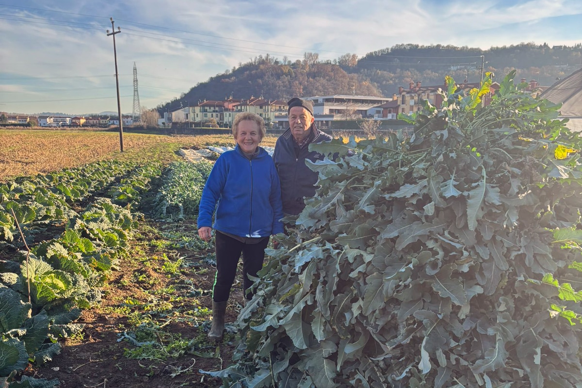 Broccolo Fiolaro e Verze: i tesori invernali dell'Agriturismo Barco Menti