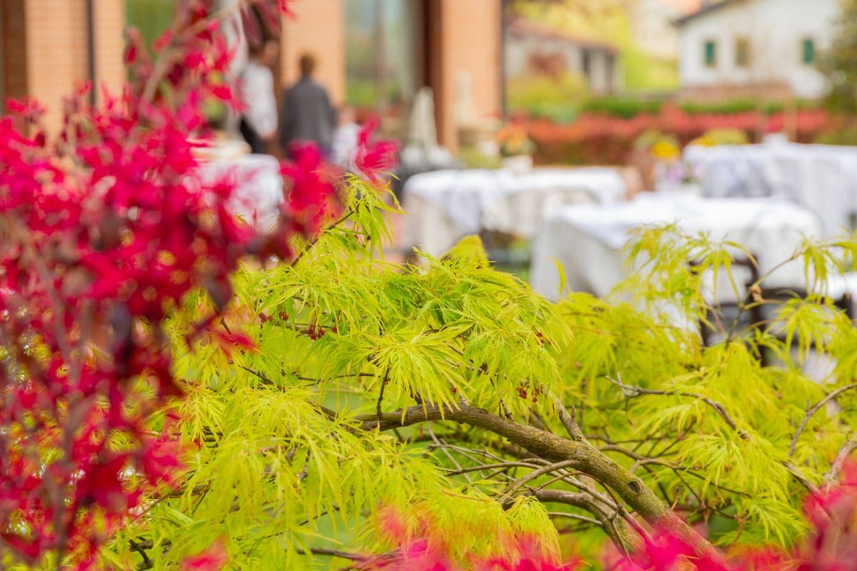6-Fiori-Barcomenti